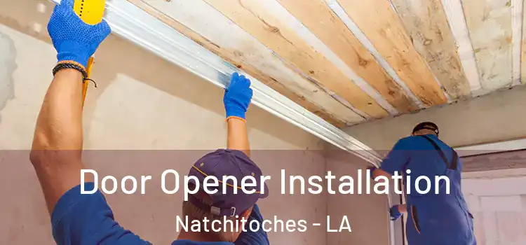  Door Opener Installation Natchitoches - LA