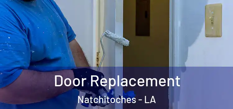  Door Replacement Natchitoches - LA