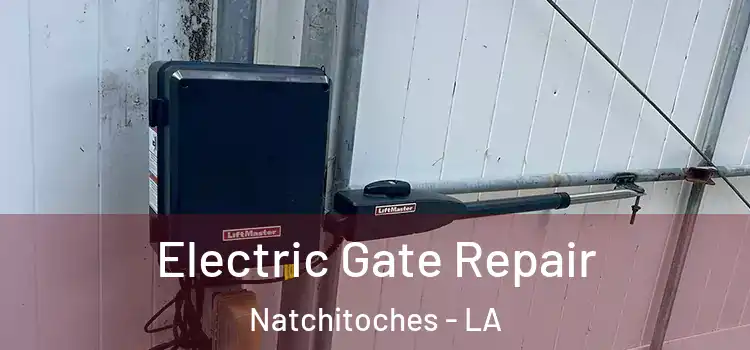  Electric Gate Repair Natchitoches - LA