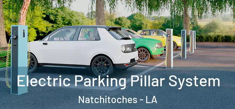  Electric Parking Pillar System Natchitoches - LA