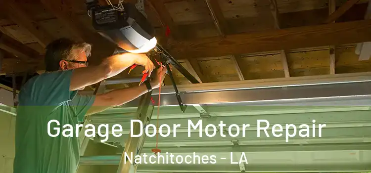  Garage Door Motor Repair Natchitoches - LA