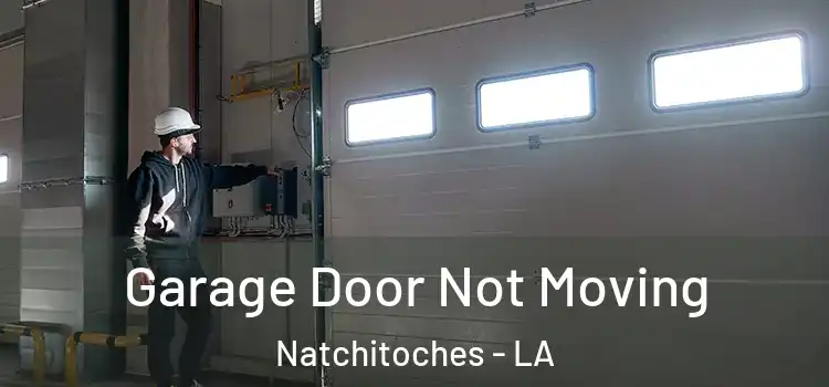  Garage Door Not Moving Natchitoches - LA