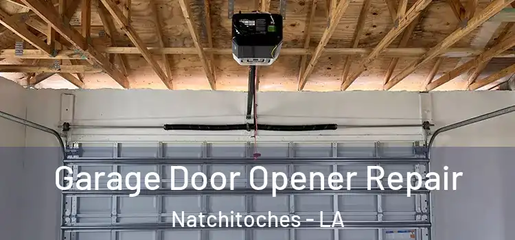  Garage Door Opener Repair Natchitoches - LA