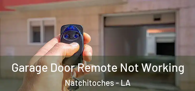  Garage Door Remote Not Working Natchitoches - LA