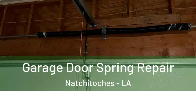  Garage Door Spring Repair Natchitoches - LA