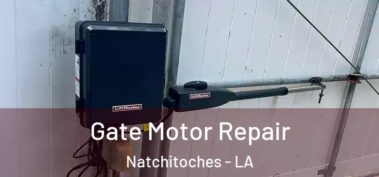  Gate Motor Repair Natchitoches - LA