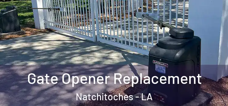  Gate Opener Replacement Natchitoches - LA