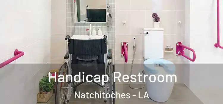  Handicap Restroom Natchitoches - LA