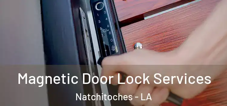  Magnetic Door Lock Services Natchitoches - LA