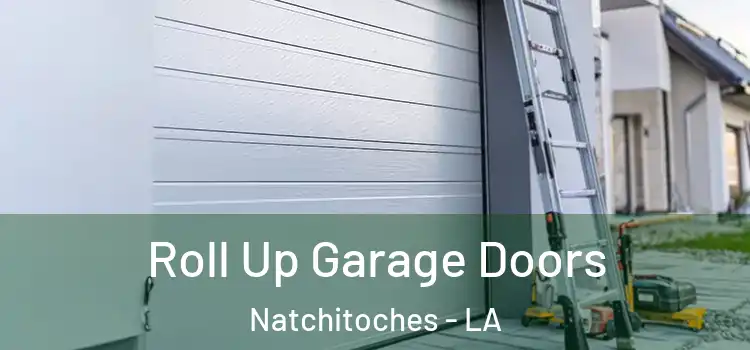 Roll Up Garage Doors Natchitoches - LA